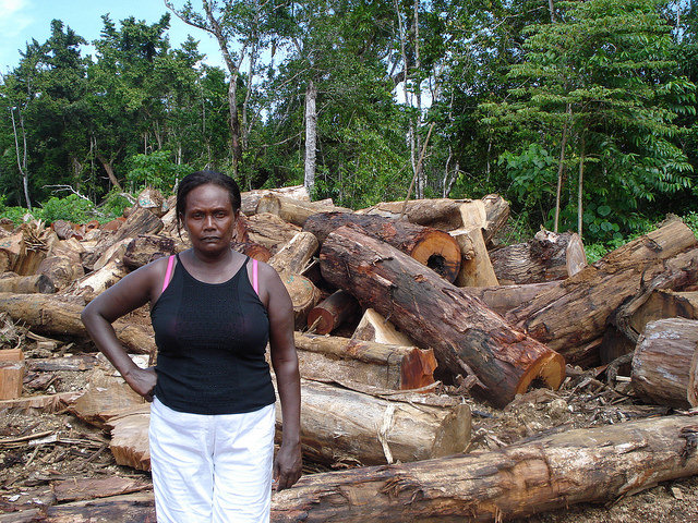 Los propietarios de tierras por derecho consuetudinario en Papúa Nueva Guinea padecen las consecuencias sociales y ambientales de la tala ilegal. Crédito:  Catherine Wilson/IPS.