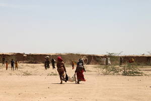 En Etiopía, los pastores venden sus animales para tener menos. Las consecuencias de El Niño los obligan a tener rebaños más pequeños. Crédito: FAO.