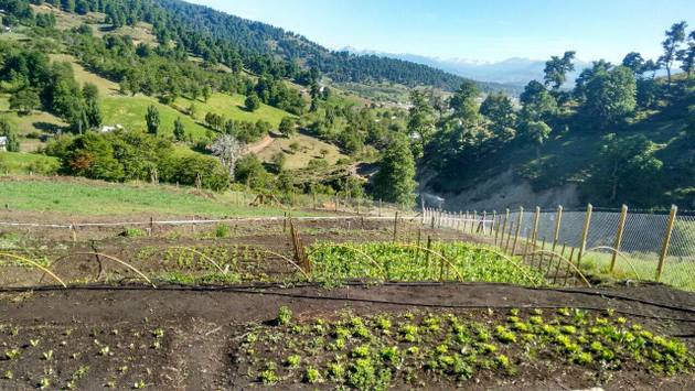 Un huerto en una ladera de la localidad de Montaña Pedregoso, respaldado por el proyecto GEF/PNUD que promueve una agricultura sostenible en sectores del secano mediterráneo del centro de Chile. Foto: PNUD Chile