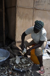 La mandioca es un cultivo básico en África. La nueva variedad que promueve el CGIAR es más nutritiva, por contener mayores cantidades de vitamina A, cinc o hierro. Crédito: Busani Bafana/IPS.