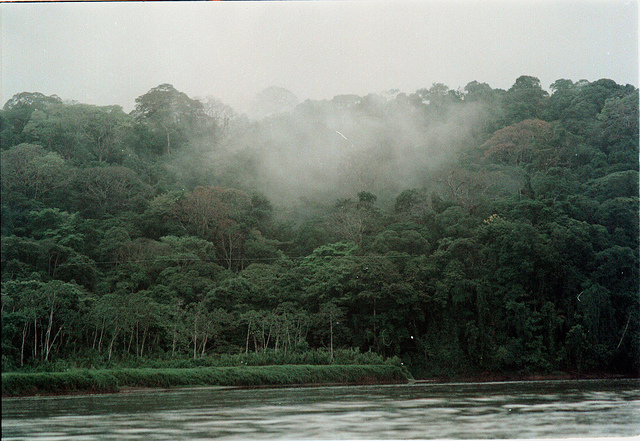 Bosque nublado de Costa Rica. Frenar la deforestación en América Latina es esencial para mitigar las emisiones de carbono. Crédito: Germán Miranda/IPS
