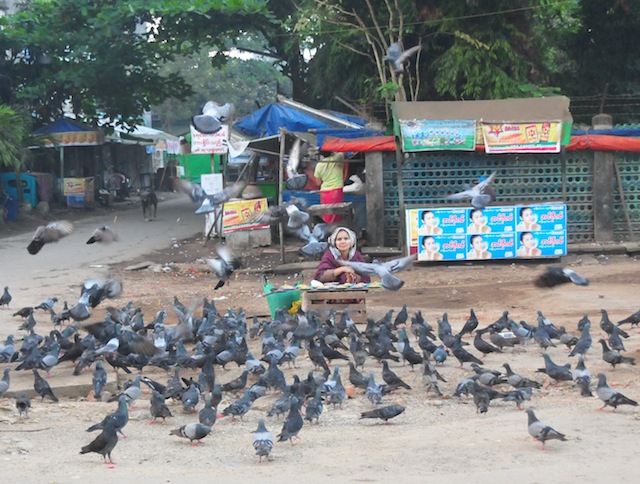 Una mujer espera que los transeúntes le compren comida de pájaros en Yangón. El Banco Mundial estima que 30 por ciento de los 53 millones de habitantes de Myanmar son pobres. Crédito: Amantha Perera/IPS.