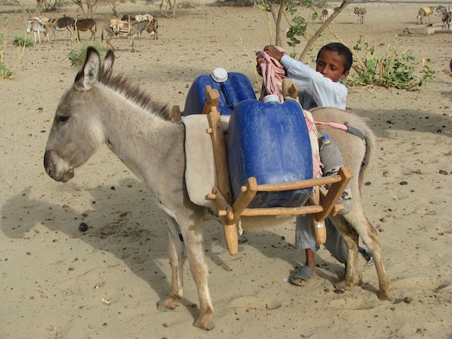 Los niños ayudan a sus familias a transportar los pesados recipientes de agua. Crédito: Irfan Ahmed/IPS