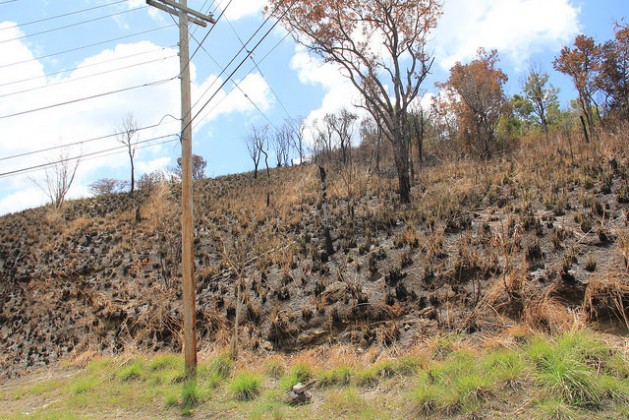 Las consecuencias de un incendio forestal en el sur de San Vicente y Granadinas. Crédito: Kenton X. Chance/IPS