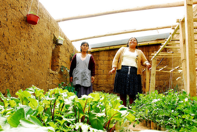 Dos de las horticulturas periurbanas de Sucre, la capital oficial de Bolivia, muestran orgullosas una de las carpas solares, los huertos tipo invernadero que familias de 83 barrios de los suburbios de la ciudad han instalado en sus patios, como parte del nacional Programa de Agricultura Urbana y Periurbana. Crédito: Franz Chávez/IPS