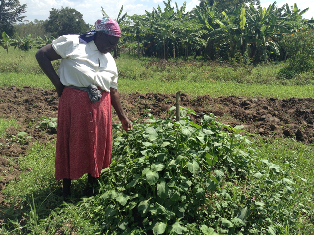 Roselida Orodi, presidenta de Grupo de Autoayuda de Agricultores Esikoma Ushirika, muestra una técnica de cultivo de hortalizas autóctonas. Crédito: Justus Wanzala/IPS