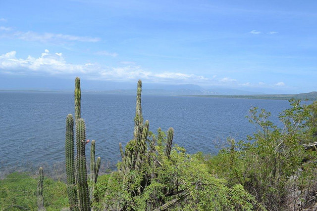 Vista del mar Caribe, en República Dominicana, cerca de la frontera con Haití en la isla de La Española, que comparten los dos países. Las cerca de 7.000 islas caribeñas guardan miles de especies endémicas, cuya preservación se complica por el cambio climático. Crédito: Dionny Matos/IPS