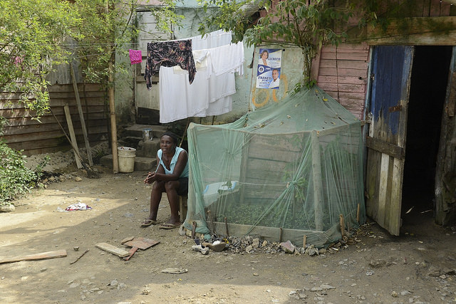 Muchas mujeres mantienen en sus patios traseros huertas y árboles frutales para el autoconsumo familiar, como esta del asentamiento rural de Mata Mamón, que se vieron afectados por la sequía en República Dominicana durante 2015. Crédito: Dionny Matos/IPS