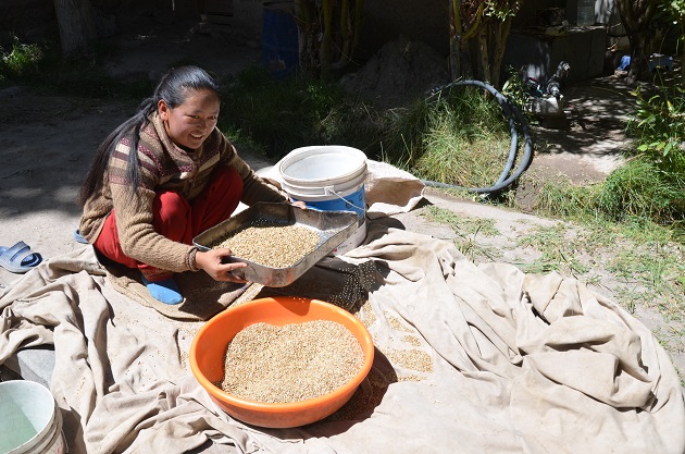 En Ladakh, India, el alto desempleo no les deja muchas opciones a las mujeres, que en su mayoría tienen poca educación formal. Crédito: Neeta Lal/IPS