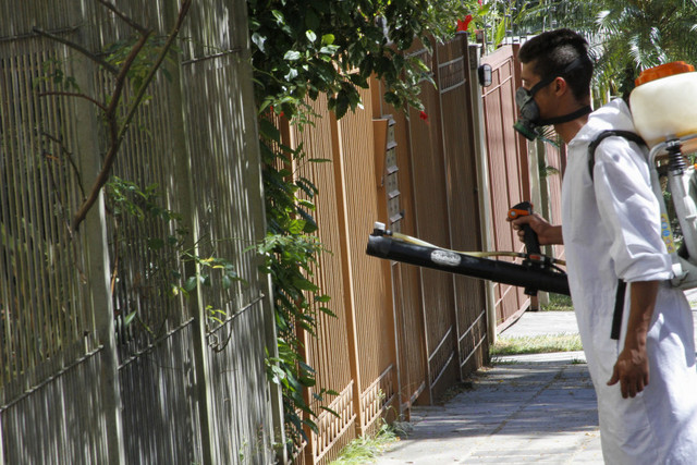 La fumigación contra el mosquito vector del zika y otros virus, el Aedes Aegypti, se ha intensificado en las ciudades de Brasil. Crédito: Cristina Rochol/PMPA