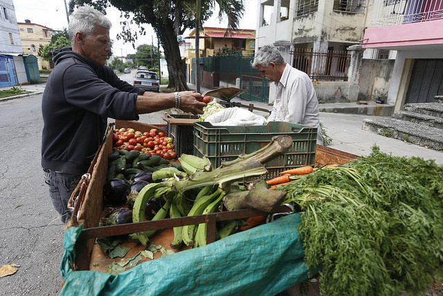 Dos vendedores ambulantes organizan sus productos agrícolas para la venta, en una calle del barrio de Playa, en La Habana, la capital de Cuba. Crédito: Jorge Luis Baños/IPS
