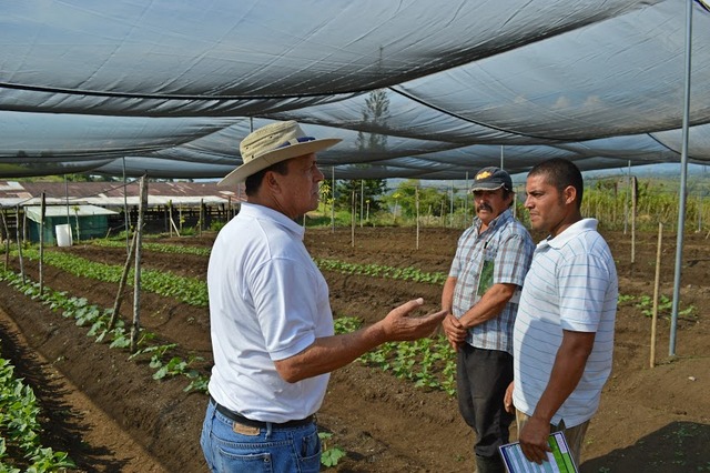 El especialista de la FAO, Guillermo Murillo, con sombrero, conversa con agricultores familiares en el asentamiento de Los Reyes, en el sureste de Costa Rica, sobre técnicas para mejorar la producción de sus parcelas con casas sombra. Crédito: Diego Arguedas Ortiz/IPS