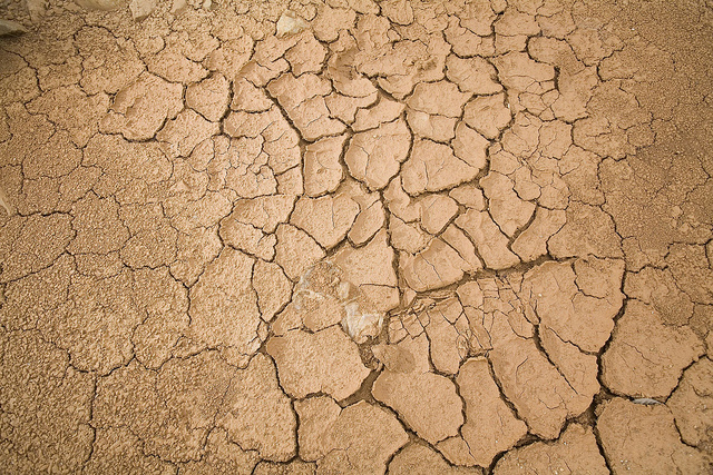 La falta de lluvias deja el suelo seco y no apto para la agricultura. Crédito: Mauricio Ramos/IPS.