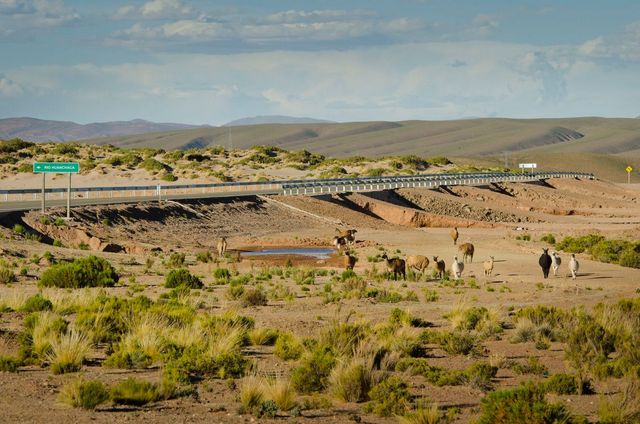 Un tramo de la carretera que integra el corredor Bolivia-Chile, destinado a incrementar los flujos comerciales y turísticos entre los dos países. Crédito: CAF