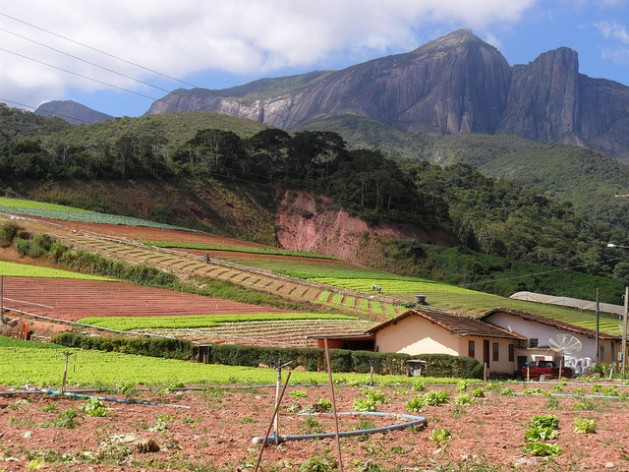 Finca familiar en el estado de Río de Janeiro, en Brasil, con un sistema de siembra que se adapta a las manifestaciones del cambio climático en el área. Crédito: Fabiola Ortiz/IPS
