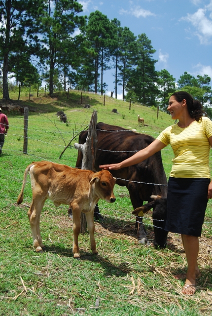 Josefina Rodríguez, parte del 18 por ciento de las productoras agropecuarias de Nicaragua que son propietarias de la parcela que trabajan. El fondo creado hace seis años para impulsar la adquisición de las mujeres rurales de tierra sigue sin tener los recursos requeridos para que sus objetivos se cumplan. Crédito: Ismael López/IPS