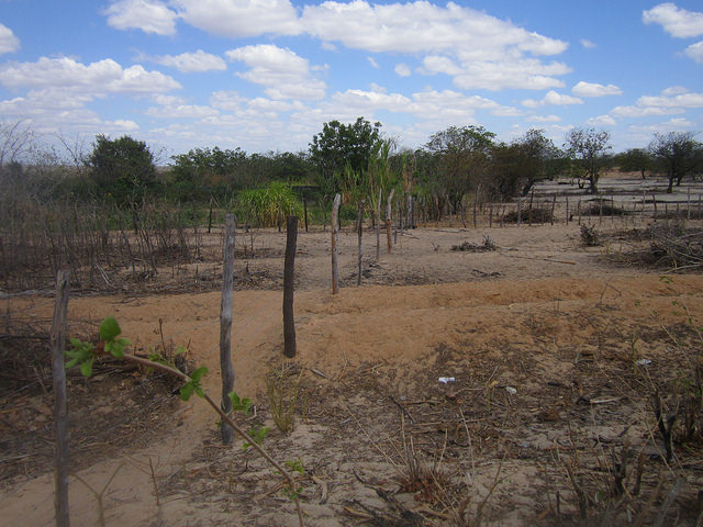El contraste entre el verde el huerto cultivado por mujeres del Asentamiento Primer de Mayo y la sequedad de los alrededores, en el estado de Rio Grande do Norte, en el Nordeste de Brasil. Crédito: Mario Osava/IPS