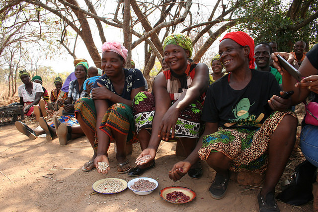 Las legumbres son buenas para la nutrición y los ingresos, en particular para las mujeres agricultoras que velan por la seguridad alimentaria de sus hogares, como sucede en esta aldea próxima a Lusaka, Zambia. Crédito: Busani Bafana / IPS