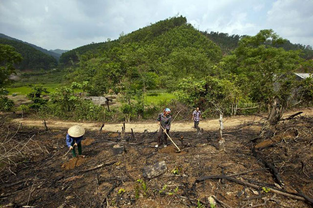La pérdida forestal representa una sexta parte de las emisiones de gases contaminantes al año.  Crédito: Joan Manuel Baliellas/FAO.