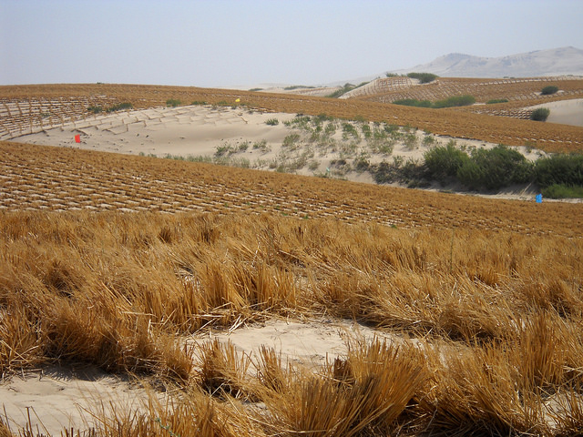 La desertificación, una crisis silenciosa e invisible, amenaza a un tercio de la superficie mundial. Esta imagen de 2013 registra el intento de volver fértil partes del desierto de Kubuqi, en China. Crédito: Manipadma Jena / IPS