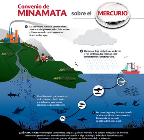 El Convenio de Minamata sobre el Mercurio entró en vigor el 16 agosto y obliga al control en el mundo del metal cuya emisión es gravemente tóxica para los humanos y otros seres vivos del planeta. Crédito: INECC