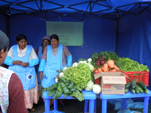 Agricultoras de la localidad rural de Tapila Florida, en el departamento boliviano de La Paz, venden sus productos recién cosechados en un centro de acopio, gracias al apoyo del Centro de Capacitación y Servicio para la Mujer para que desarrollen la agroecología. Crédito: Cortesía de Cecasem