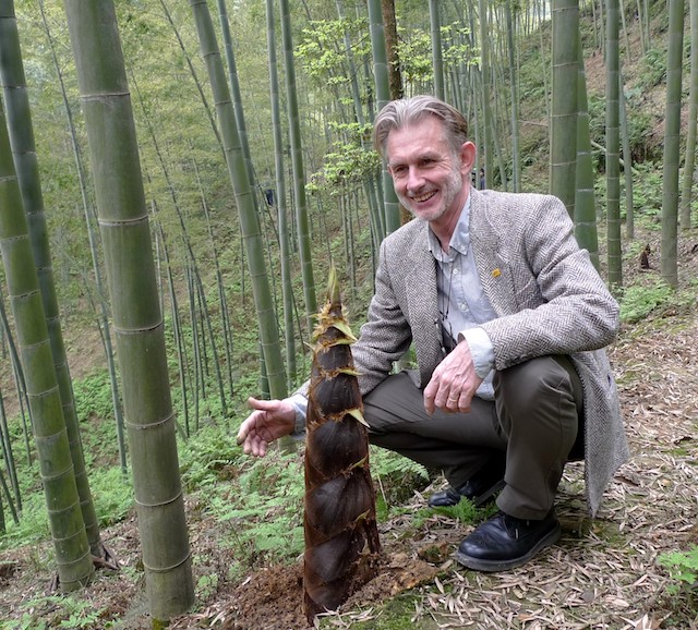 Hans Friederich en una plantación de bambú en China. Crédito: Cortesía Inbar.