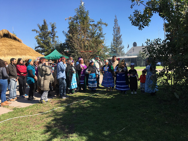 Representantes mapuches celebran una ceremonia rogativa antes de reunirse el 25 de agosto, en la periferia de la capital de Chile, para analizar los detalles de la propuesta del gobierno de incluir una asignatura sobre lengua y cultura indígenas. Crédito: Orlando Milesi/IPS