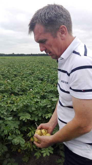 Leo De Jong en su campo de papas, en Holanda. Crédito: Cortesía Friday Phiri.