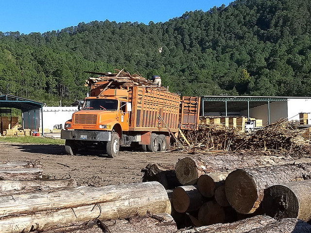Un camión descarga troncos de pino en el aserradero de la comunidad forestal de Ixtlán de Juárez, en el sureño estado mexicano de Oaxaca, que como otros grupos locales en la Sierra Juárez, tiene un manejo sostenible de sus bienes comunales, incluidos los maderables. Crédito: Emilio Godoy/IPS