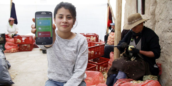 Comproagro es un intermediario digital y gratuito para que los campesinos den a conocer sus productos. Crédito: Agrovisión / ChispaRural.GT