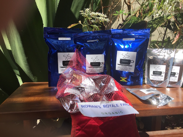 El cafetal de Dorianne Rowan-Campbell produce el famoso café Jamaica Blue Mountain, uno de los más raros y caros para preparar el delicioso café expreso. Crédito: Cortesía: Dorienne Rowan-Campbell.