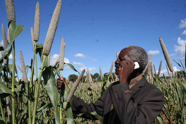 Phillip Tshuma, propietario de una pequeña finca en Zimbabwe, confía en la información meteorológica a través de su teléfono móvil, para mejorar su cultivo de maíz. Crédito: Busani Bafana/IPS