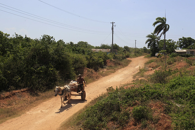 Un hombre conduce una carreta tirada por caballo por el camino sin pavimentar que une las pequeñas parcelas agrícolas de Las Caobas, en las inmediaciones de la ciudad de Gibara, en la oriental provincia de Holguín, en Cuba. Crédito: Jorge Luis Baños/IPS