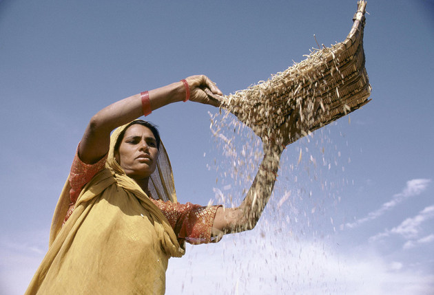 Una mujer agricultora de la India. Crédito: Ray Witlin/Banco Mundial