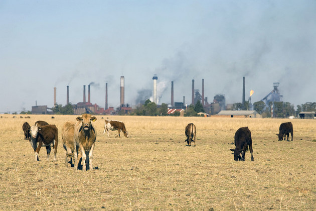 Las industrias y la ganadería generan gases de efecto invernadero que causan el calentamiento global. Crédito: Banco Mundial/John Hogg