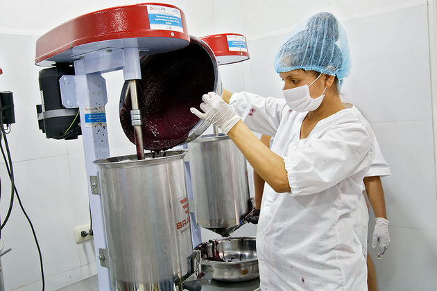 Una escena de las instalaciones de procesamiento del proyecto en Buen Retiro. El proyecto ha proporcionado tecnología y activos para mejorar la producción de 10 empresas dirigidas por mujeres en cuatro municipios. Crédito: Teófila Guarachi/ONU Mujeres