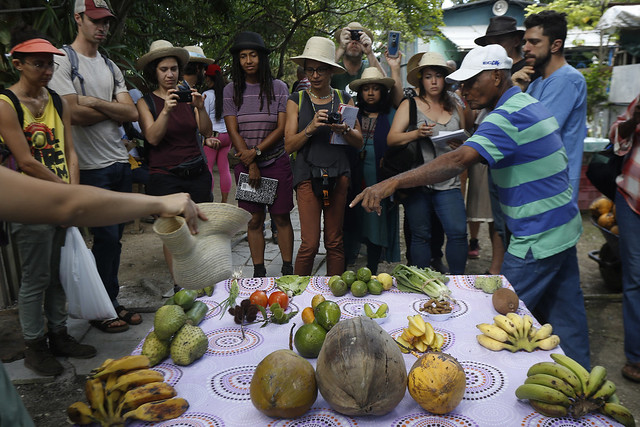 Gonzalo Lebrén muestra algunos frutas cultivados en forma orgánica en la finca Gonzalo, de la Cooperativa de Crédito y Servicios Amistad con Los Pueblos, en el municipio de Marianao, uno de los que conforman La Habana, la capital de Cuba. Crédito: Jorge Luis Baños/IPS