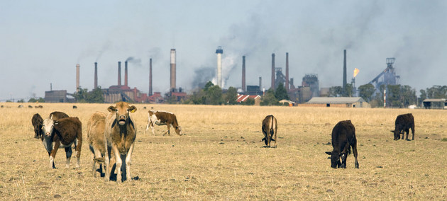 Las industrias y la ganadería generan gases de efecto invernadero que causan el calentamiento global. Crédito: John Hogg/Banco Mundial
