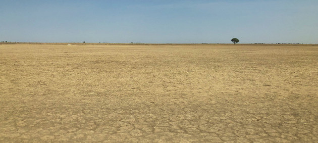 El cambio climático y el uso insostenible de la tierra contribuye a la desertificación en Camerún. Crédito: ONU