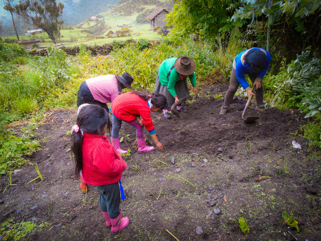 Las mujeres de varias comunidades altoandinas de Ayacucho, en Perú, tuvieron un papel muy activo en siembra y cosecha de agua, incluida la protección de las cabeceras de las fuentes de agua. En la imagen, un grupo de mujeres y niñas en una actividad comunitaria en Oroncoy, una aldea a unos 3200 metros de altura. Foto: Cortesía de Huñuc Mayu