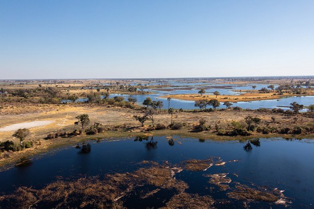 Vista parcial del delta del Okavango, el mayor del mundo donde un río desemboca en el interior del territorio y no en el mar. En este gran territorio en forma de abanico donde termina el río Okavango en Botswana, un país sin salida al mar, fue donde murieron entre marzo y junio entre 350 y 700 elefantes, según las diferentes versiones. Foto: Wikimedia