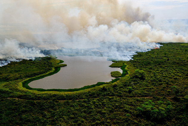 El Pantanal tiene mucha agua, pese a la sequía, pero eso no evitó la multiplicación y propagación de los incendios provocados por la acción humana. La destrucción fue la más extensa sufrida por el mayor humedal del mundo y serán necesarias varias décadas para su recuperación si no se repiten sequías tan graves como la actual. Foto: Mayke Toscano/Secom-Fotos Públicas