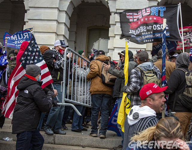 Partidarios de Trump cuando irrumpían en la sede del Capitolio el 6 de enero. Foto: Greenpeace USA