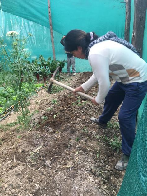Maribel Palomino realiza el doble excavado del suelo para asegurar el mejor rendimiento de sus hortalizas, en el biohuerto que estableció en la pequeña finca familiar en la región altoandina de Cusco, en Perú, a la que regresó tras comenzar la cuarentena para contener la covid. Ahora ya sueña con aliarse con otras mujeres de la zona para comerciar sus productos en forma colectiva. Foto: Cortesía de Maribel Palomino